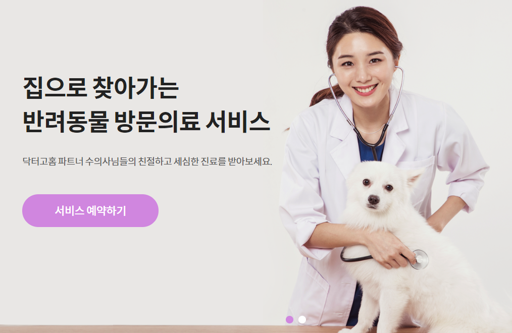 노트펫