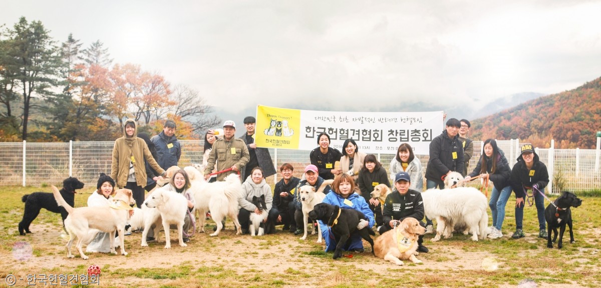 노트펫
