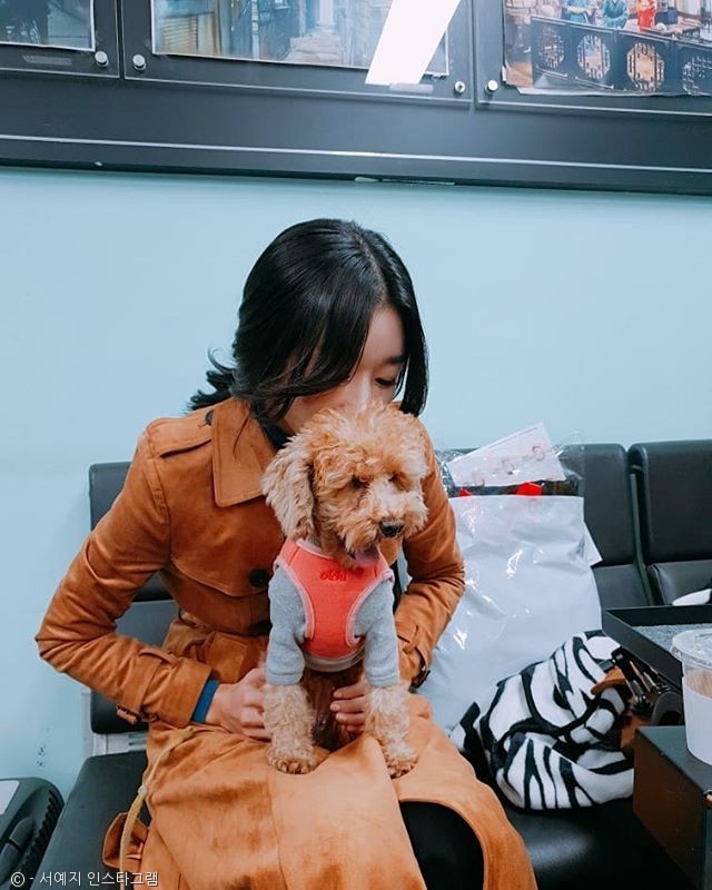 노트펫