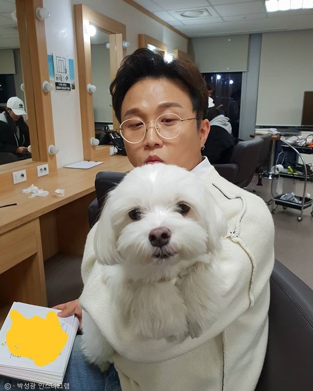 노트펫
