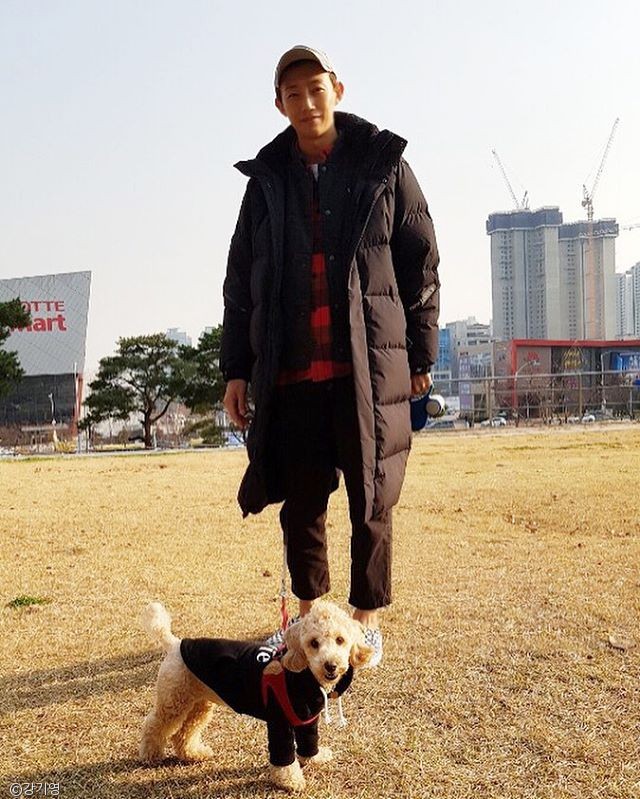 노트펫
