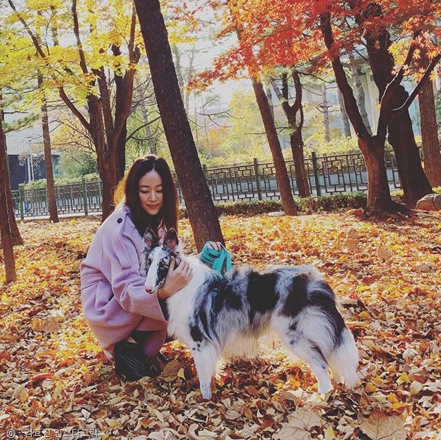노트펫