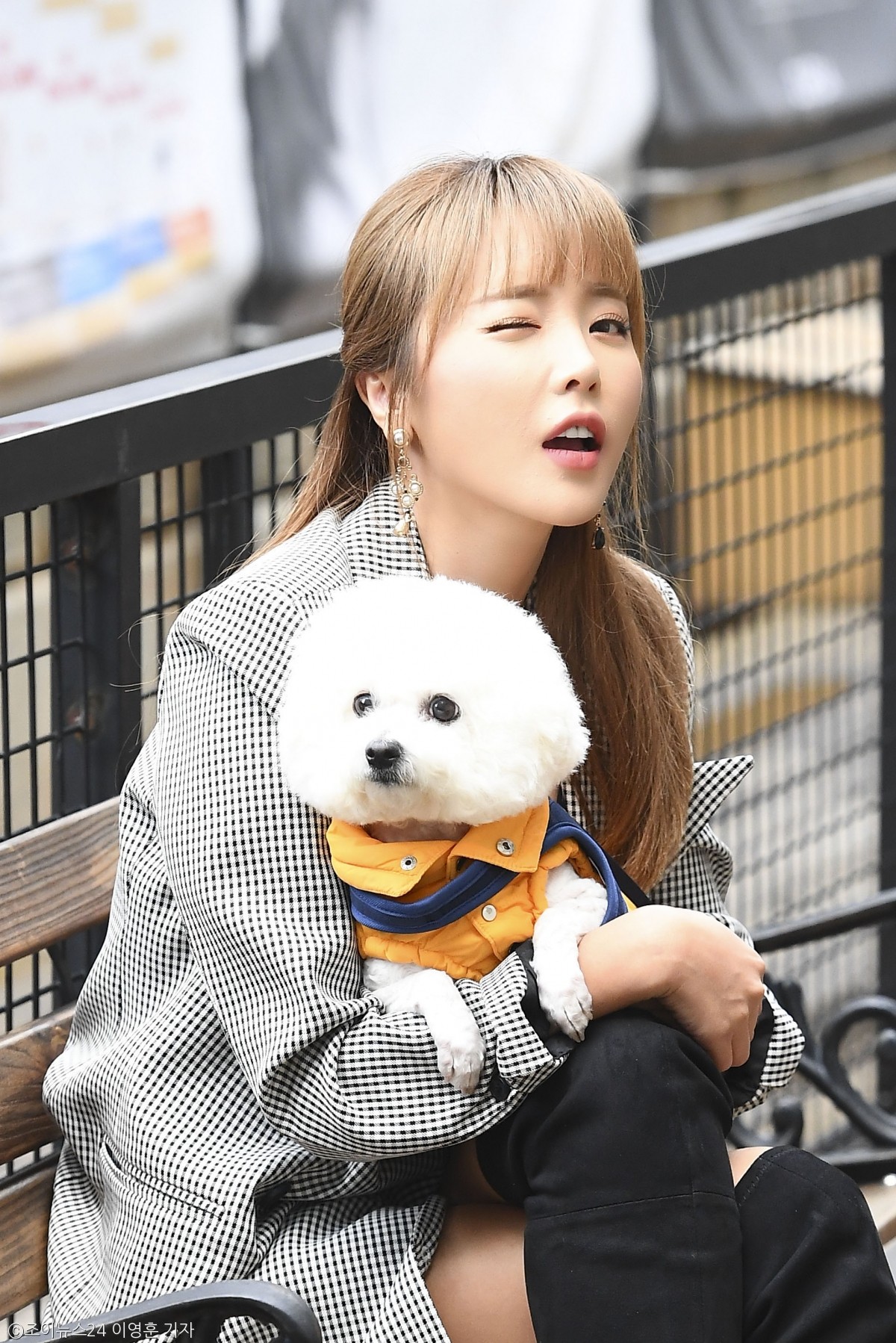 노트펫