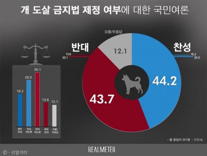 노트펫