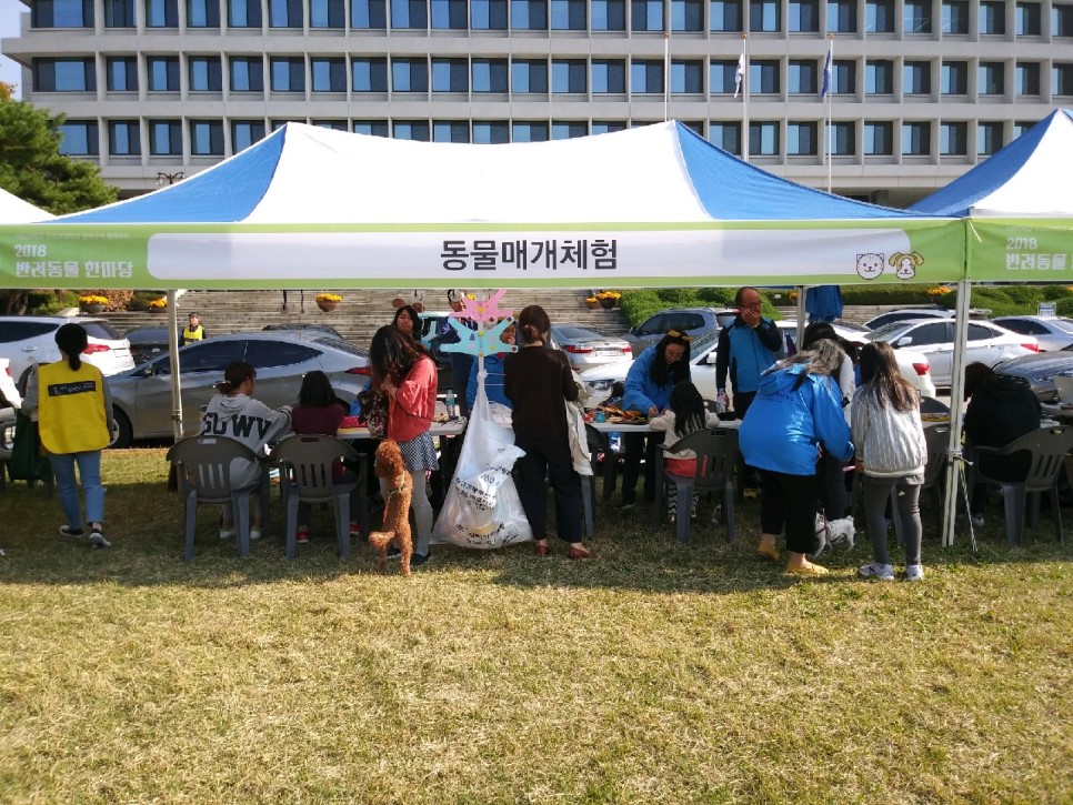 노트펫