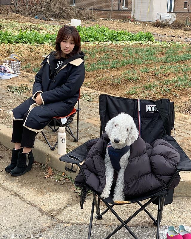 노트펫