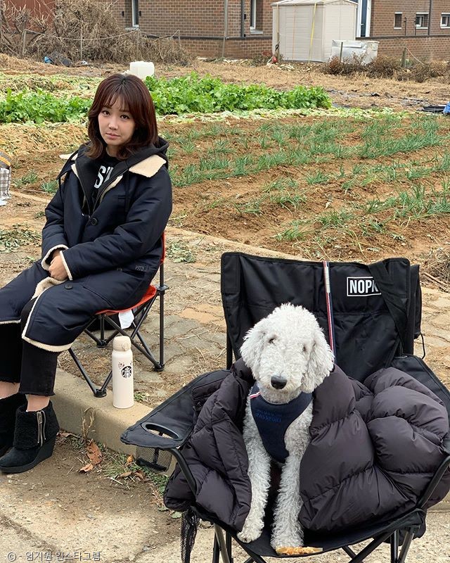노트펫