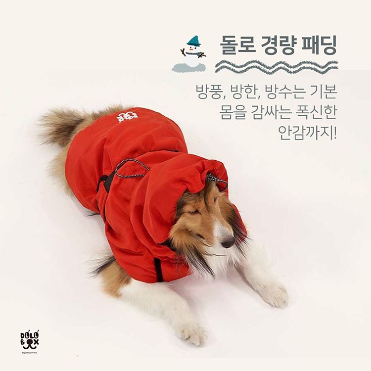 노트펫