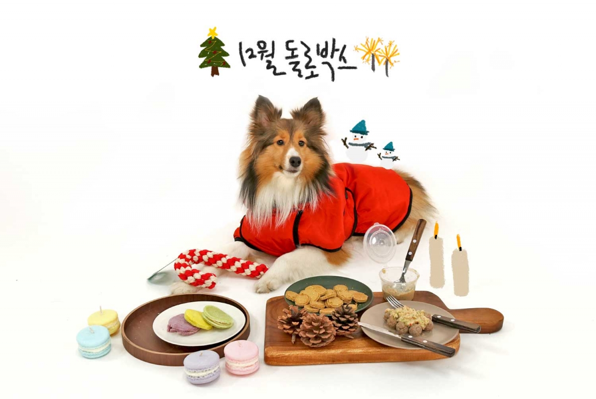 노트펫