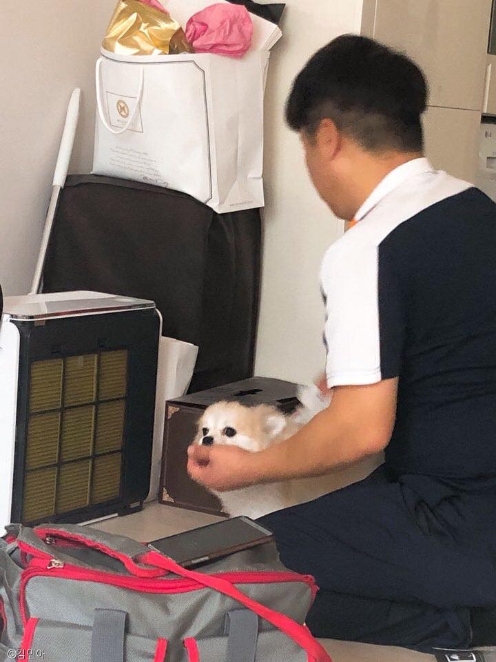 노트펫
