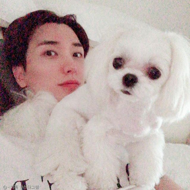 노트펫