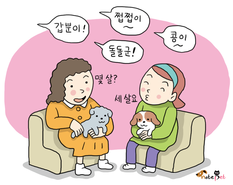 노트펫