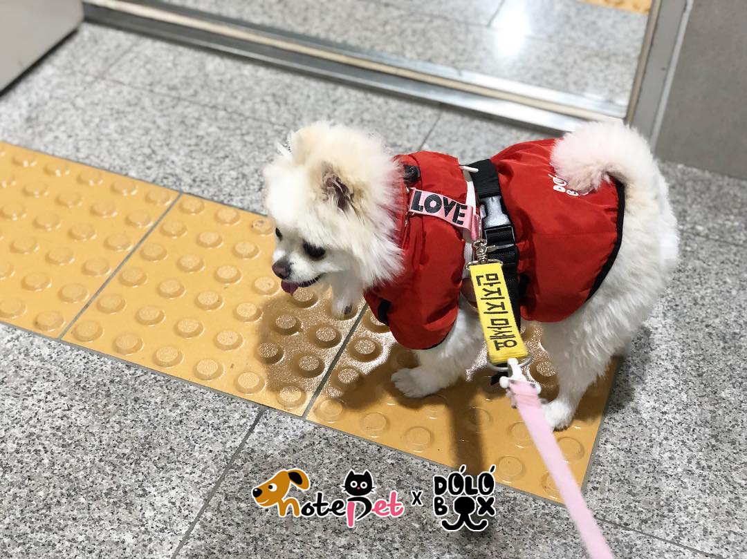 노트펫