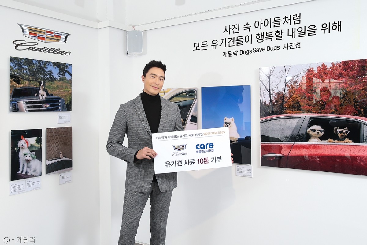 노트펫