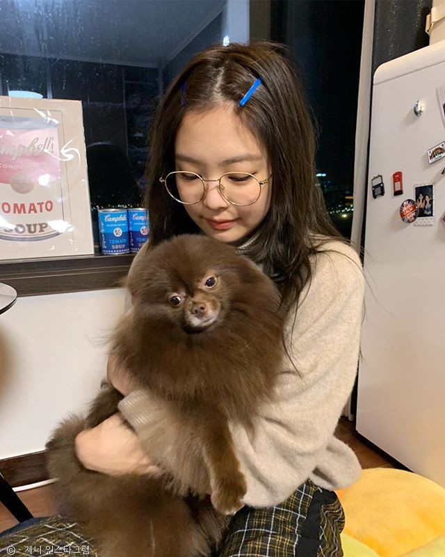 노트펫