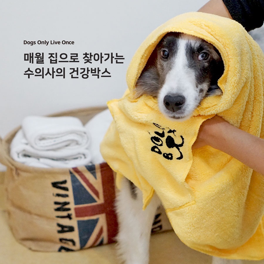 노트펫