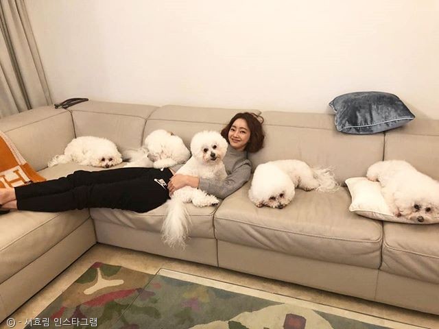 노트펫