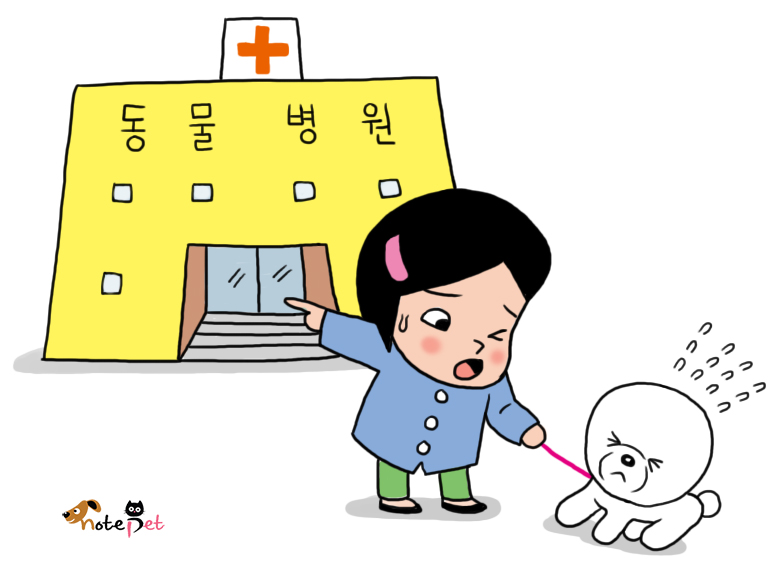 노트펫