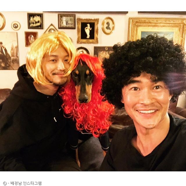 노트펫