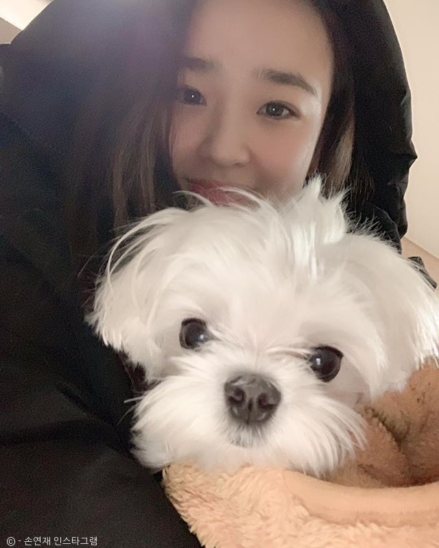 노트펫
