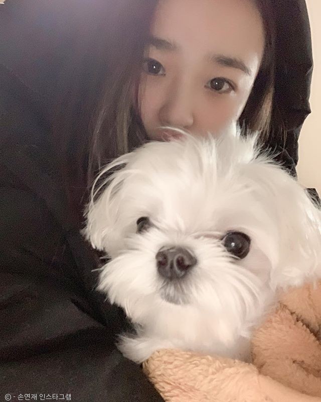 노트펫