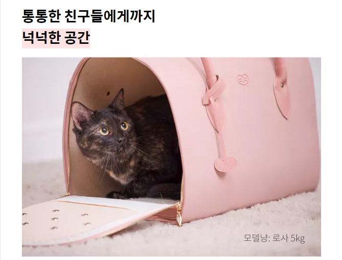 노트펫