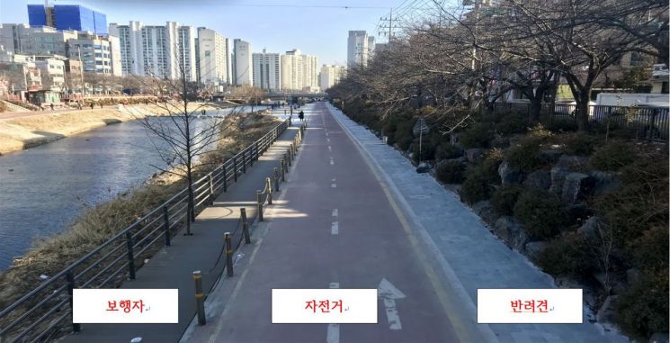 노트펫
