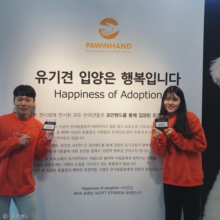 노트펫