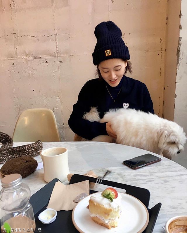 노트펫
