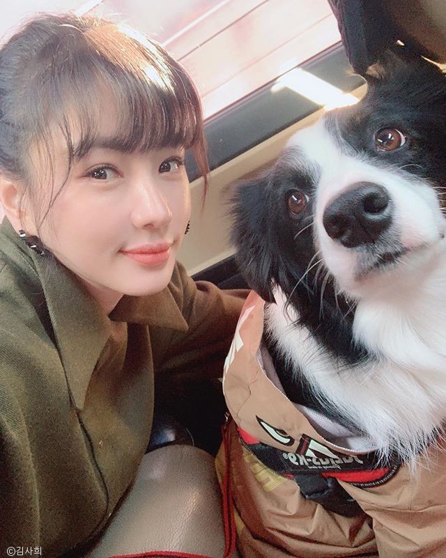 노트펫
