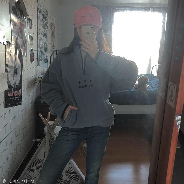 노트펫