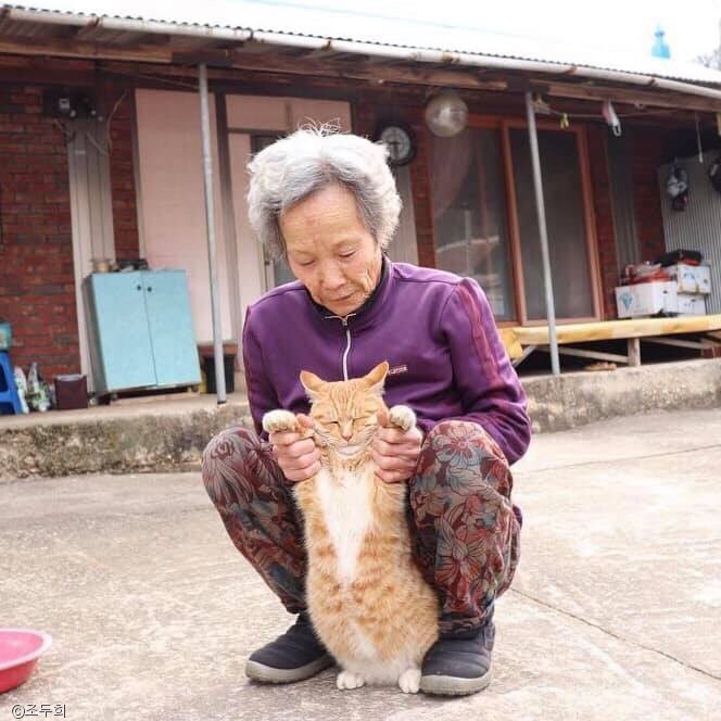 노트펫