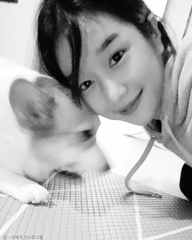 노트펫