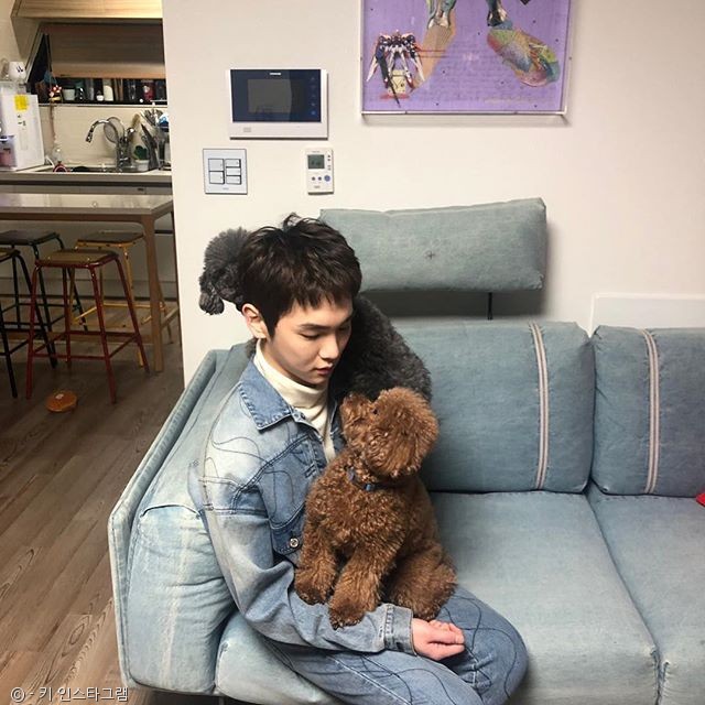 노트펫