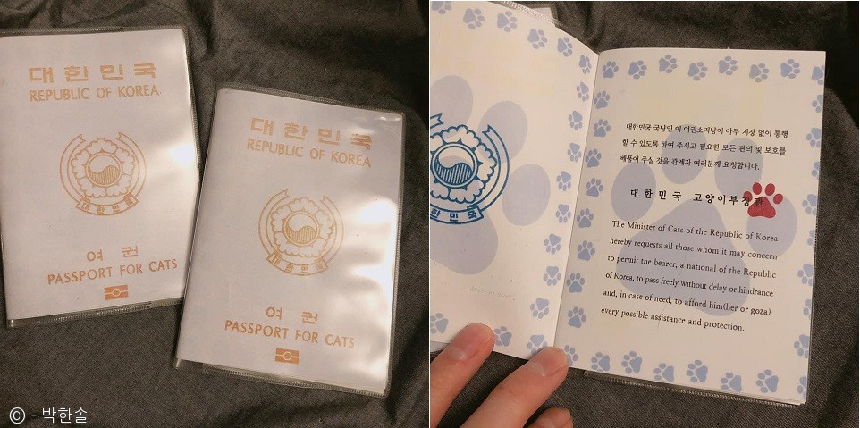 노트펫