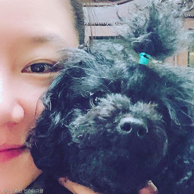 노트펫