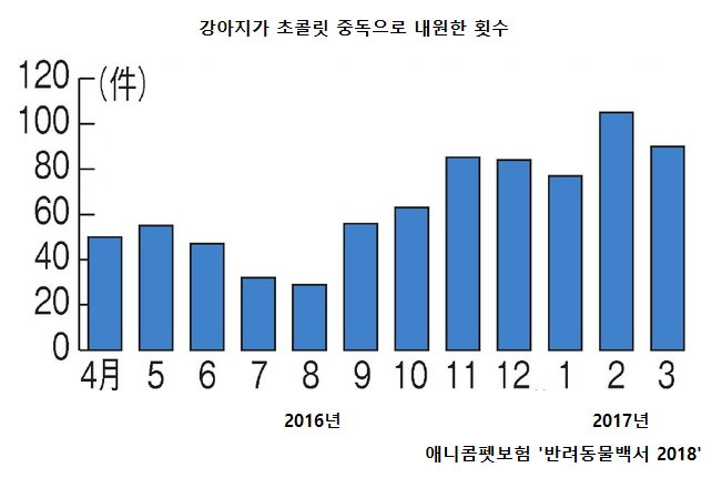 노트펫