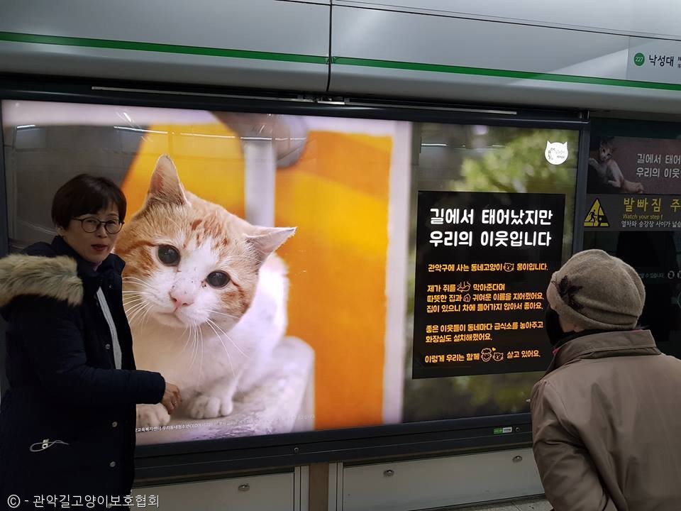노트펫