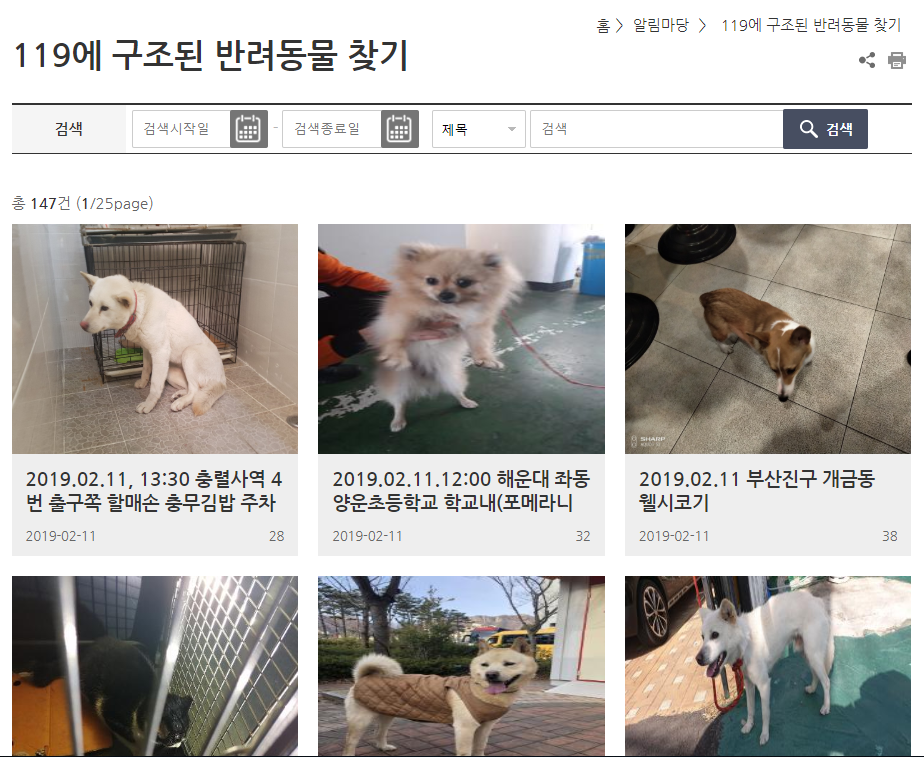 노트펫