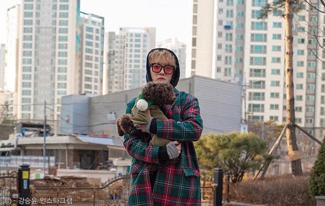 노트펫