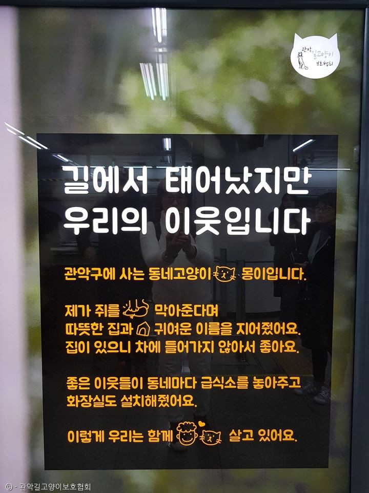 노트펫