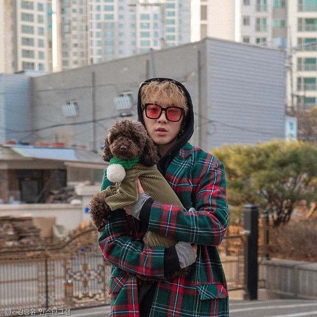 노트펫