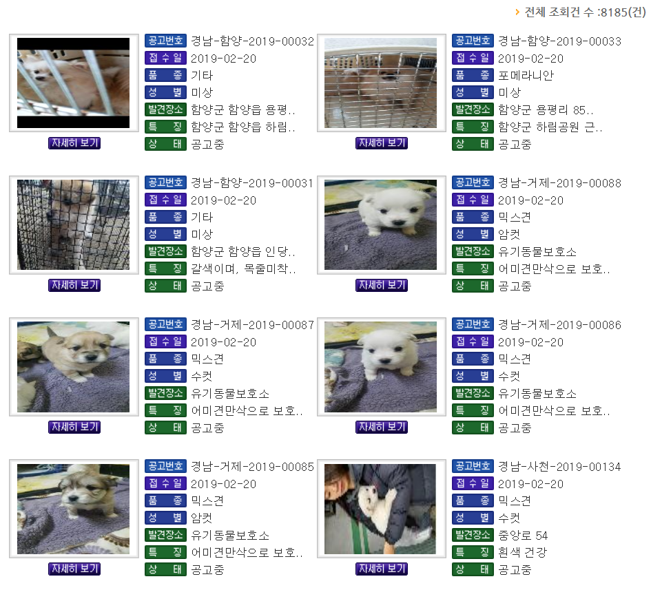 노트펫