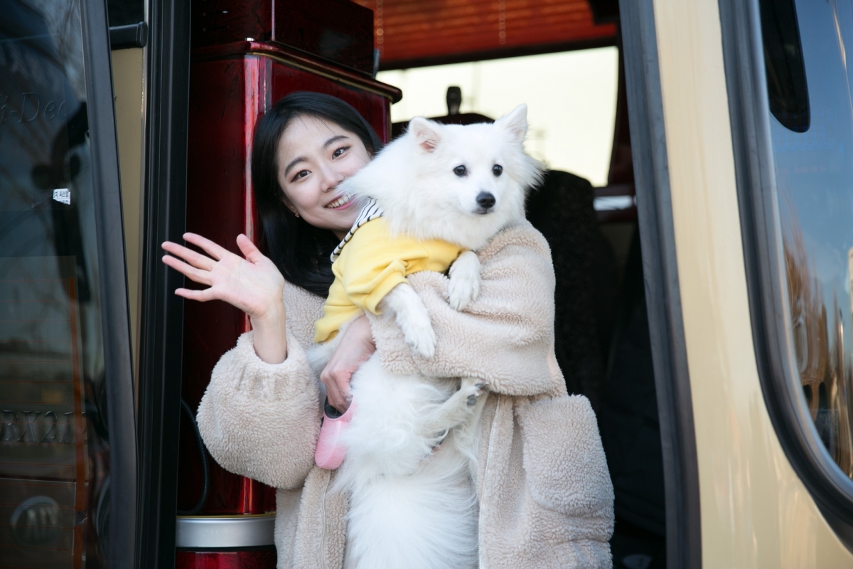 노트펫