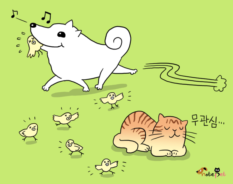 노트펫