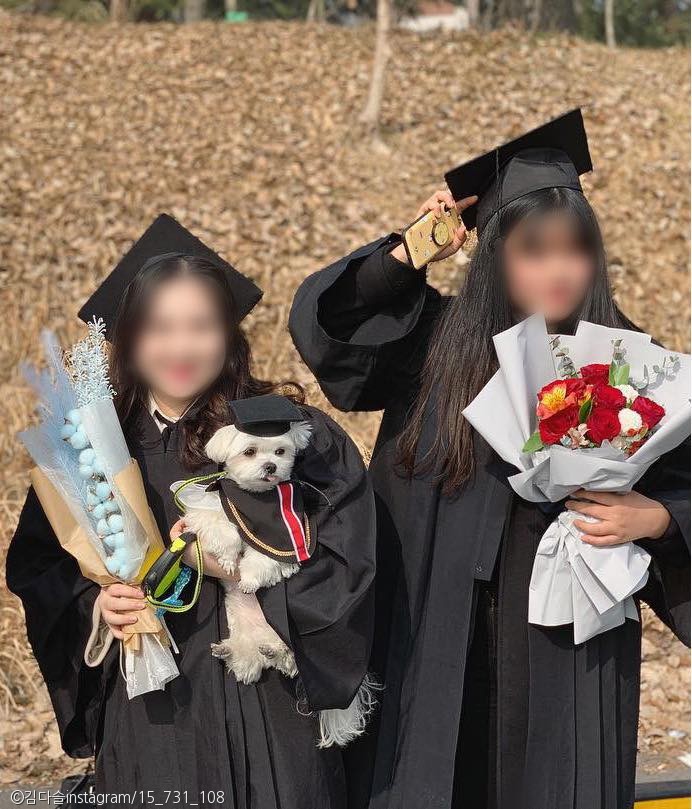 노트펫