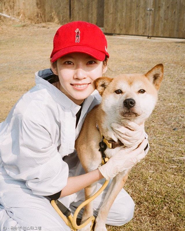 노트펫