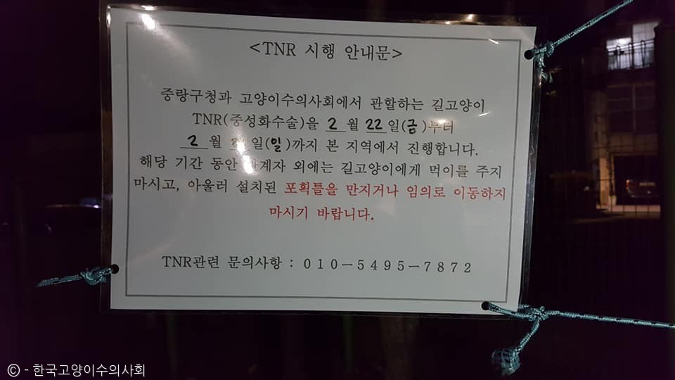 노트펫