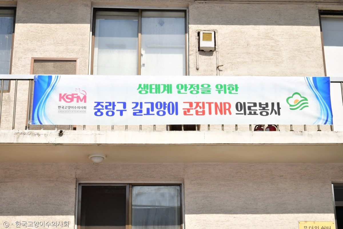 노트펫
