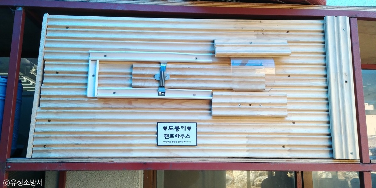 노트펫